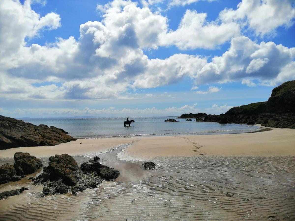 Seawinds Bed And Breakfast Killybegs Exteriér fotografie